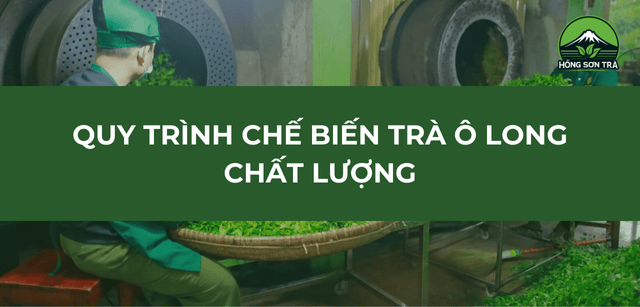 Quy Trình Chế Biến Trà Ô Long Chất Lượng