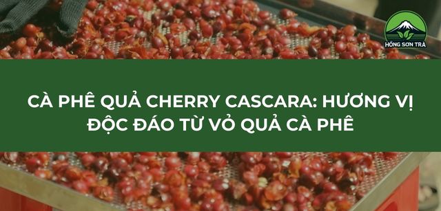 Cà phê quả cherry Cascara