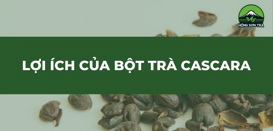 Lợi ích của bột trà Cascara | Hồng Sơn Trà