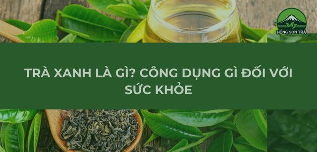 Trà Xanh Là Gì? Công Dụng Gì Đối Với Sức Khỏe